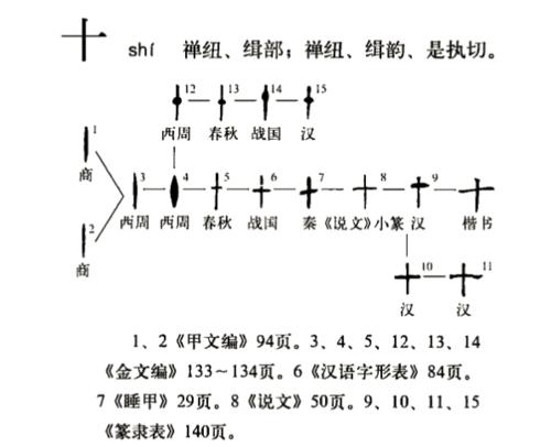 演變流程圖