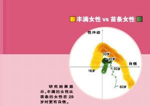 網戀公式