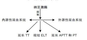 凝血酶原激酶