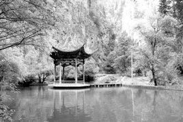 吐魯溝森林公園