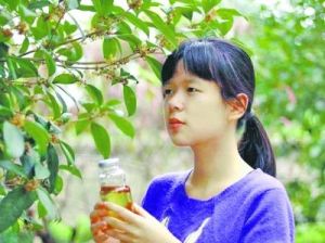 《桂花掩映的女人》