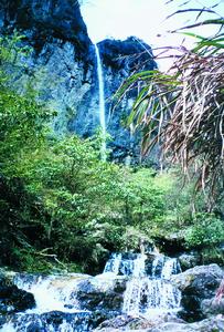 紫微山國家森林公園