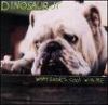 Dinosaur Jr