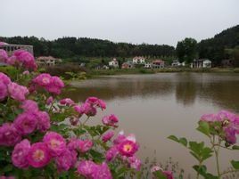 仙湖山莊