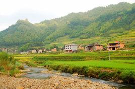 黃林村[福建省尤溪縣湯川鄉轄村]