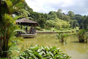 新加坡植物園