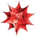 Wolfram Mathematica