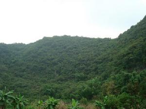 小石坎村[雲南省文山縣柳井彝族鄉下轄村]