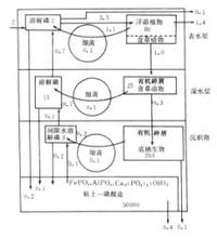 環境化學效應 