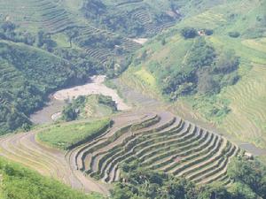 東甫上寨村梯田