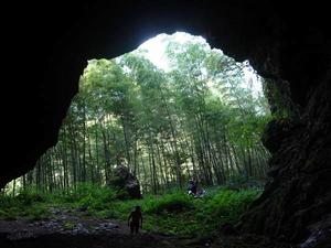 金牛洞旅遊度假村