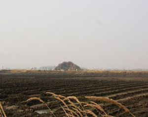 花坨山