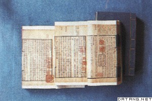 譚獻(1832～1901)