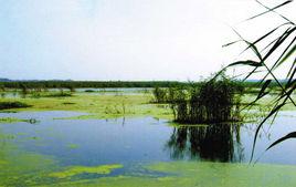 大連龍湖濕地公園