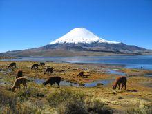 Parinacota火山