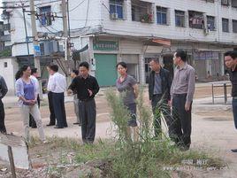 金山街道[江蘇省徐州市泉山區金山街道]