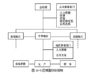 區域型組織結構