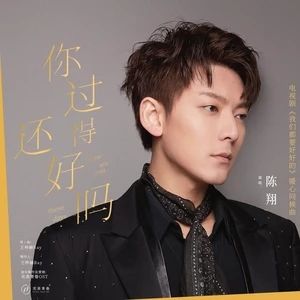 你過得還好嗎[陳翔演唱歌曲]