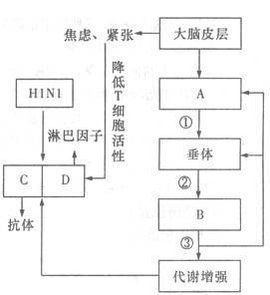 免疫調節