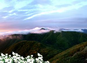 六盤山鎮