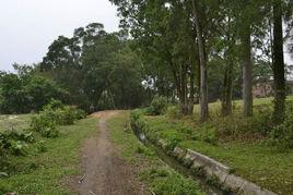 大苑村[廣東省茂名市高州市石鼓鎮黑坭山大遠村]