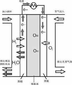 溶融碳酸鹽燃料電池