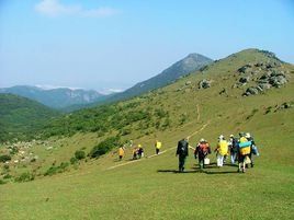 大姆山草場