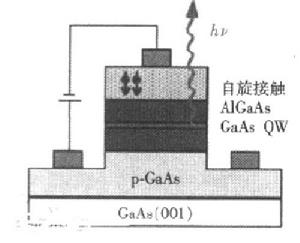 自旋流檢測