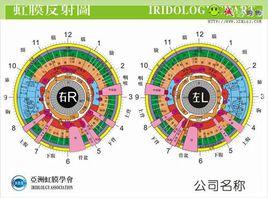 虹膜反射圖