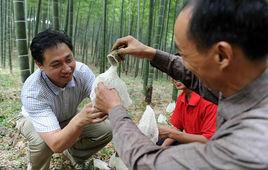 陳永華[南開大學經濟學博士]