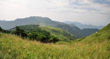 雲梯山