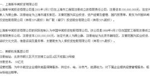 上海新華聞投資有限公司