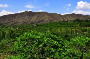 山西鳳凰山生態植物園