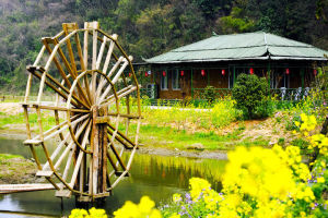 同家鄉村樂園