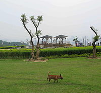 虎頭山環保公園