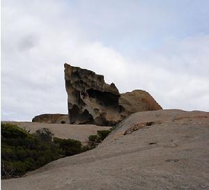 坎加魯島1