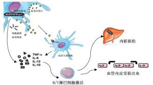 細胞因子風暴