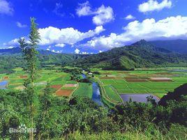 高原氣候和高山氣候