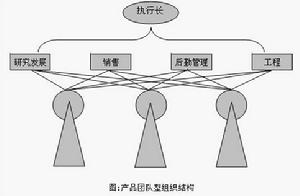 區域型組織結構