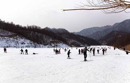 老界嶺滑雪場