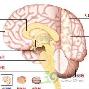 腦萎縮後遺症