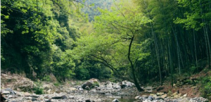 浙東小九寨