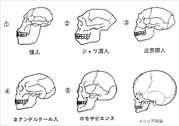 人類文明