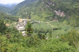 向陽村[雲南省大關縣木桿鎮向陽村]