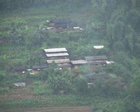 正興鎮黃草壩村