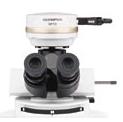 BX51系列萬能顯微鏡