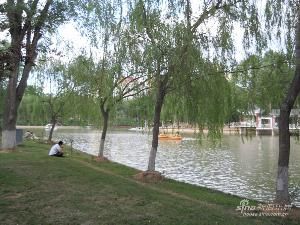 白雲公園[貴州]