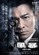 風暴[2013年劉德華主演的電影]