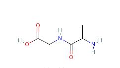 L-丙氨醯甘氨酸
