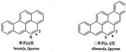 圖4 複雜多環芳烴（“*”表示中菲鍵）
